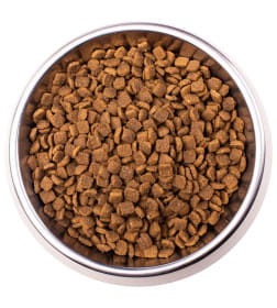 Ветеринарная диета Monge VetSolution Cat Dermatosis Дерматозис для кошек при заболеваниях кожи 400кг