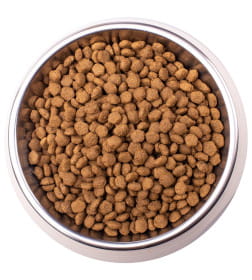 Ветеринарная диета Monge VetSolution Cat Obesity Обесити для кошек при избыточном весе 400гр
