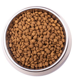 Ветеринарная диета Monge VetSolution Cat Obesity Обесити для кошек при избыточном весе 1,5кг