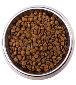 Ветеринарная диета Monge VetSolution Cat Gastrointestinal гастро интестинал для кошек при заболеваниях ЖКТ 400гр