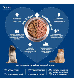 Сухой корм Monge Cat Daily Line для взрослых кошек, из курицы 400гр