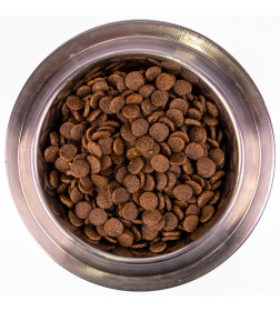 Сухой корм Monge Dog Speciality Line Monoprotein Puppy&Junior корм для щенков всех пород, из лосося с рисом 12кг