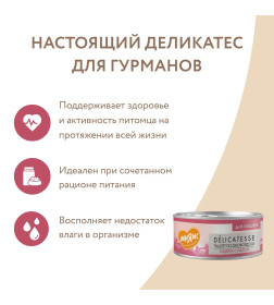 Влажный корм Мнямс Индейка с тыквой для кошек "Паштет по-оксфордски" 100 г