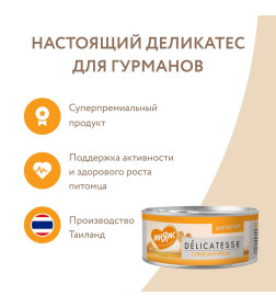 Влажный дополнительный корм Мнямс для котят Суфле из курицы 70 г