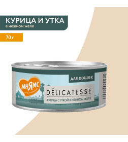 Влажный дополнительный корм Мнямс для кошек Курица с уткой в нежном желе 70 г