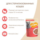 Влажный корм Мнямс Кусочки в соусе с лососем для стерилизованных кошек 85г (176953) 