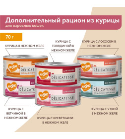 Влажный дополнительный корм Мнямс для кошек Курица с уткой в нежном желе 70 г