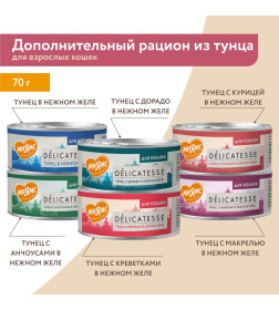Влажный дополнительный корм Мнямс для кошек Курица с уткой в нежном желе 70 г
