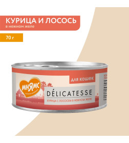 Влажный дополнительный корм Мнямс для кошек Курица с лососем в нежном желе 70 г