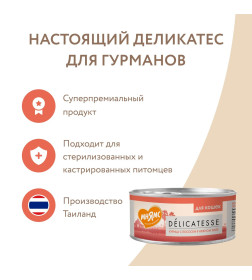 Влажный дополнительный корм Мнямс для кошек Курица с лососем в нежном желе 70 г