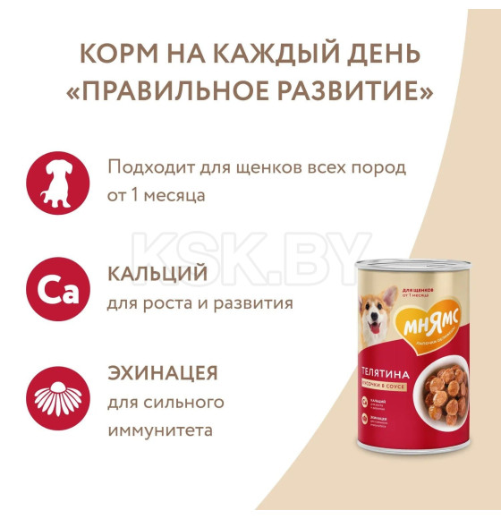 Влажный корм Мнямс Кусочки в соусе с телятиной для щенков всех пород «ПРАВИЛЬНОЕ РАЗВИТИЕ» 400 г (704987) 