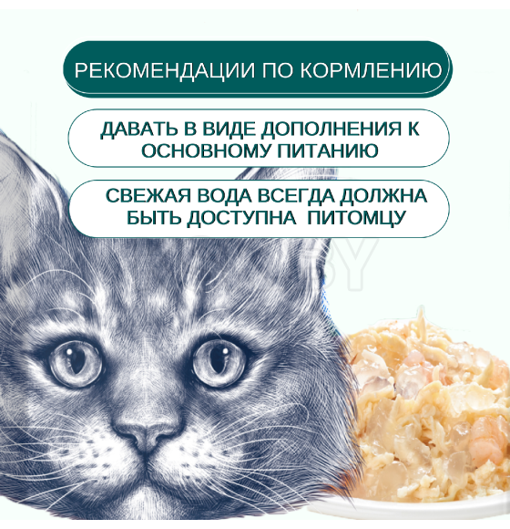 Пауч для кошек Wanpy Cat 