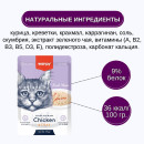Пауч для кошек Wanpy Cat 