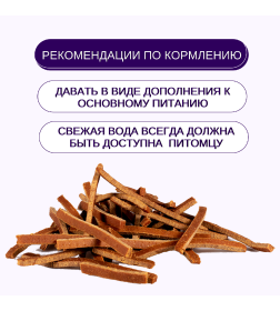 Утиная соломка Wanpy Dog 100 г
