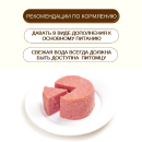 Консервы для собак Wanpy Dog из говядины, 375 г (TN-03) 