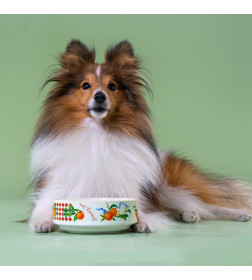 Миска Mr.Kranch для собак и кошек из фарфора "Апельсины", 350мл, белая