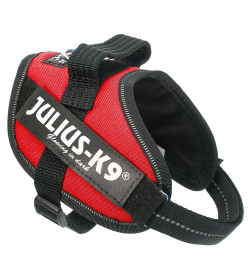 Шлейка для собак JULIUS-K9  IDC®-Powerharness Mini-Mini (40-53см/ 4-7кг), красный
