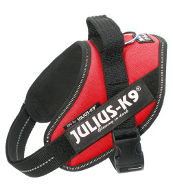 Шлейка для собак JULIUS-K9  IDC®-Powerharness Mini-Mini (40-53см/ 4-7кг), красный