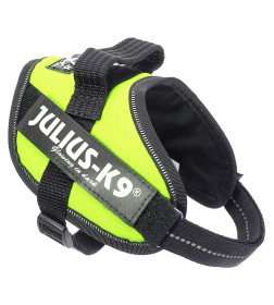 Шлейка для собак JULIUS-K9  IDC®-Powerharness Mini-Mini (40-53см/ 4-7кг), зеленый неон