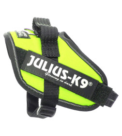 Шлейка для собак JULIUS-K9  IDC®-Powerharness Mini-Mini (40-53см/ 4-7кг), зеленый неон
