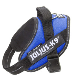 Шлейка для собак JULIUS-K9  IDC®-Powerharness Mini (49-67см/ 7-15кг), синий