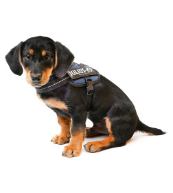 Шлейка для собак JULIUS-K9  IDC®-Powerharness Mini (49-67см/ 7-15кг), синий