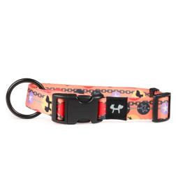 Ошейник United Pets для собак Complete me Forever L 43-73/2,5 см, оранжевый с рисунком