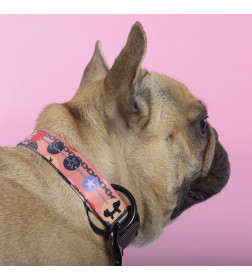 Ошейник United Pets для собак Complete me Forever L 43-73/2,5 см, оранжевый с рисунком