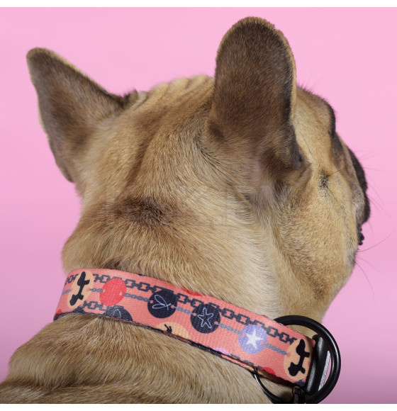 Ошейник United Pets для собак Complete me Forever L 43-73/2,5 см, оранжевый с рисунком (GPCMC2213AFO) 