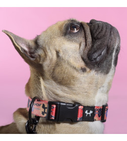 Ошейник United Pets для собак Complete me Forever L 43-73/2,5 см, оранжевый с рисунком