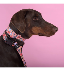 Ошейник United Pets для собак Complete me Forever L 43-73/2,5 см, оранжевый с рисунком