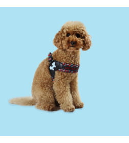 Шлейка United Pets для собак Complete me L 51 x 44-58 см, красная зебра