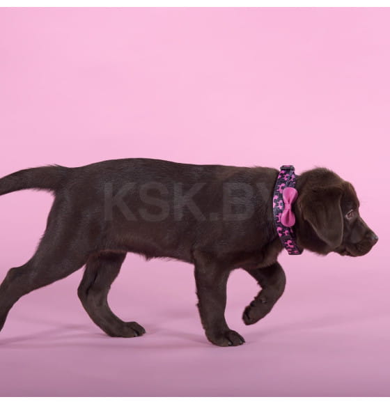Ошейник United Pets для собак Complete me Identity M 34-56/2 см, черный с розовым (GPCMC2212FID) 