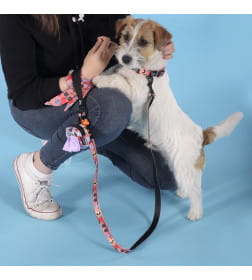 Поводок United Pets для собак Complete me Forever 140 см, 16 мм, оранжевый с рисунком
