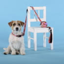 Поводок United Pets для собак Complete me Forever 120 см, 25 мм, оранжевый с рисунком (GPCML2213AFO) 