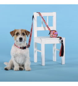 Поводок United Pets для собак Complete me Forever 120 см, 25 мм, оранжевый с рисунком