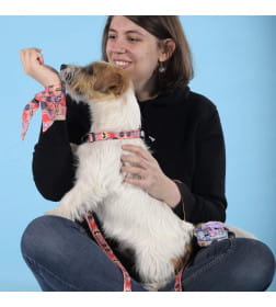 Ошейник United Pets для собак Complete me Forever M 34-56/2 см, оранжевый с рисунком