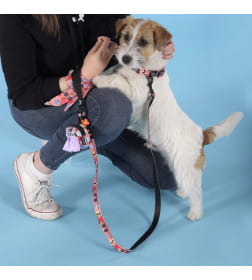 Ошейник United Pets для собак Complete me Forever M 34-56/2 см, оранжевый с рисунком