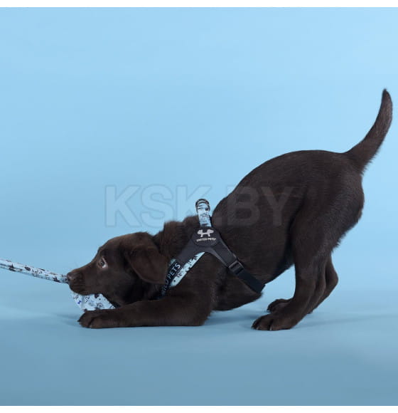 Шлейка United Pets для собак Complete me Writing 2,5 x 40-54 см, голубая с рисунком (GPCMH2212AWR) 