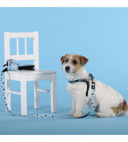 Поводок United Pets для собак Complete me Writing 120 см, 25 мм, голубой с рисунком