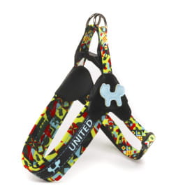 Шлейка United Pets для собак Complete me XS 40 x 37-46 см, разноцветный рисунок