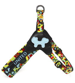 Шлейка United Pets для собак Complete me XS 40 x 37-46 см, разноцветный рисунок
