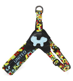Шлейка United Pets для собак Complete me S 42 x 44-58 см, разноцветный рисунок