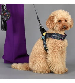 Шлейка United Pets для собак Complete me 1,5 - XS 34-42, черный с разноцветными булавками