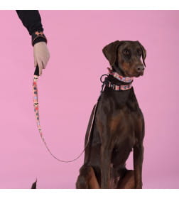 Поводок United Pets для собак Complete me Forever 120 см, 25 мм, оранжевый с рисунком