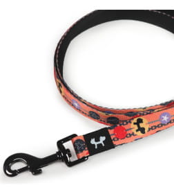 Поводок United Pets для собак Complete me Forever 140 см, 16 мм, оранжевый с рисунком