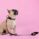 Поводок United Pets для собак Complete me Forever 140 см, 20 мм, оранжевый с рисунком (GPCML2212AFO) 