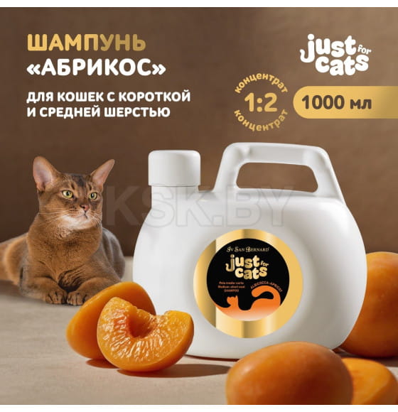 Шампунь для короткой и средней шерсти ISB Just for cats Apricot 1000 мл (SHAAL1000) 