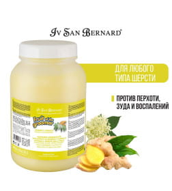 Восстанавливающая маска с противовоспалительным эффекто ISB Fruit of the Groomer Ginger&Elderberyм 3 л