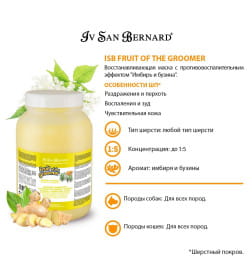 Восстанавливающая маска с противовоспалительным эффекто ISB Fruit of the Groomer Ginger&Elderberyм 3 л